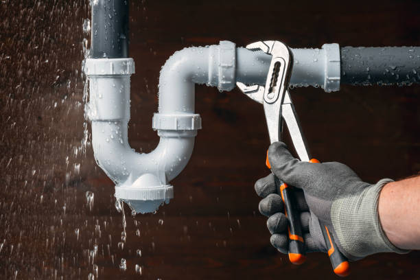 Professional Emergency Plumber technician working in Flag Pond, TN